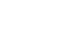 Camaleao logo